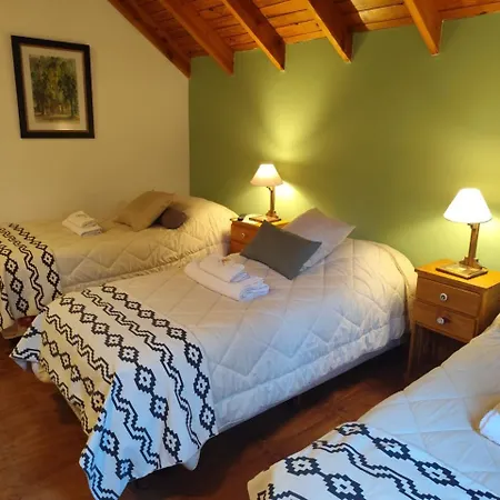 Paso Puyehue-3